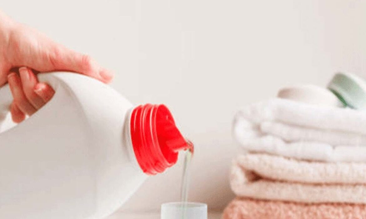 انواع ظروف بادی